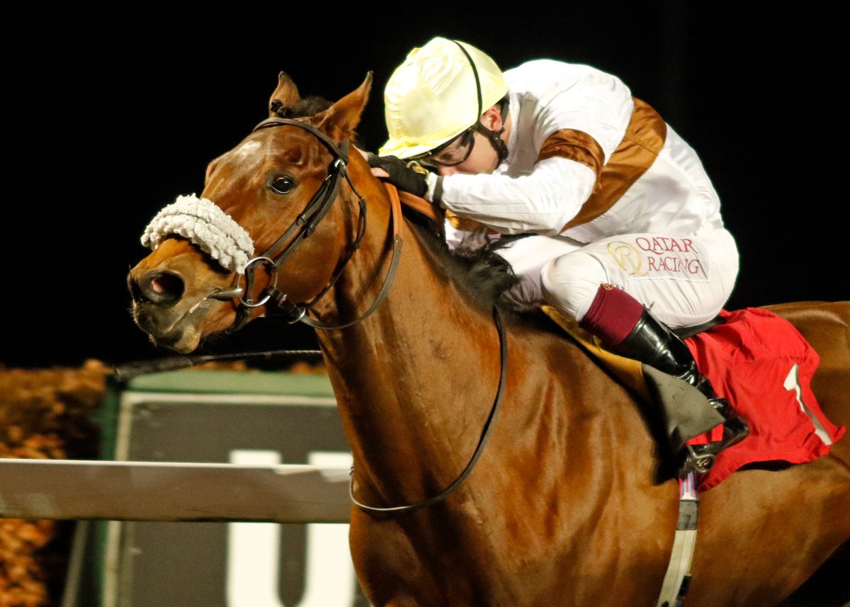 Tattersalls tweet media