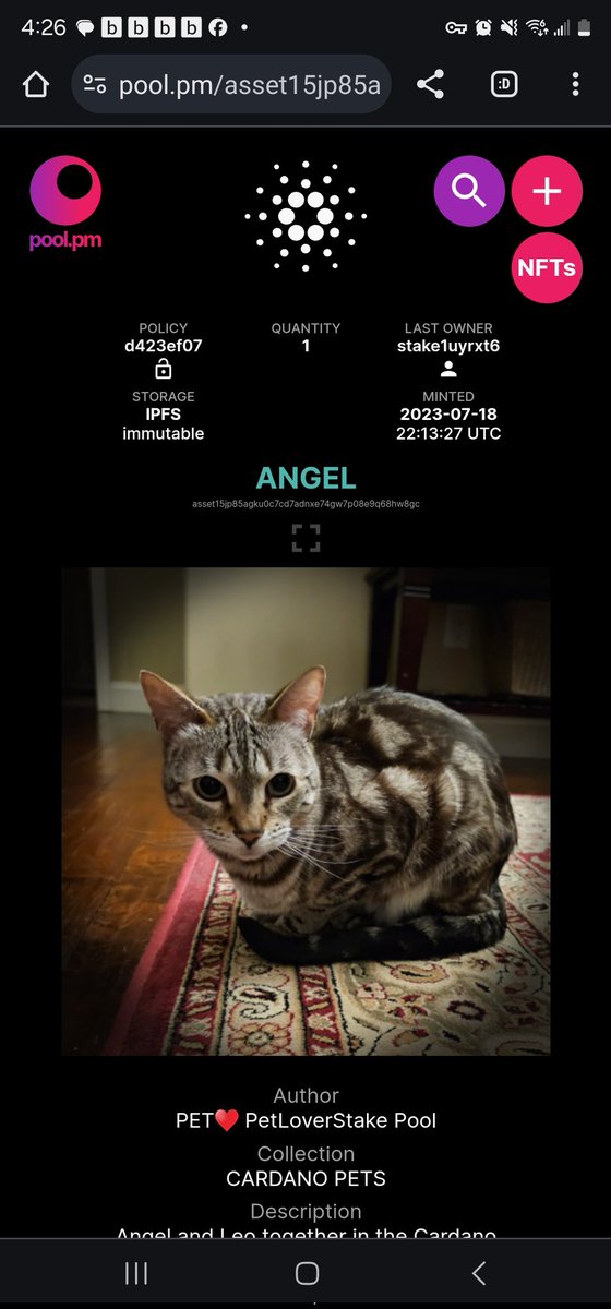 C₳rdanoKing 👑 TheCardanoKing.ada tweet media