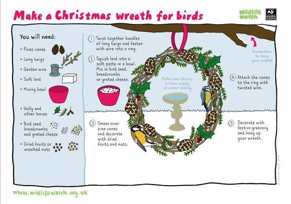 Make a festive decoration for the wildlife in your garden via Wildlife Watch #GetOutside #outdooplay #nature #birds #christmas