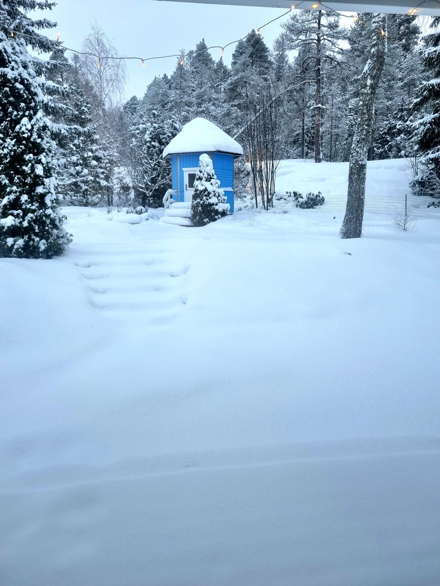 Another beautifully snowy day in Southern Finland 🇫🇮 💙