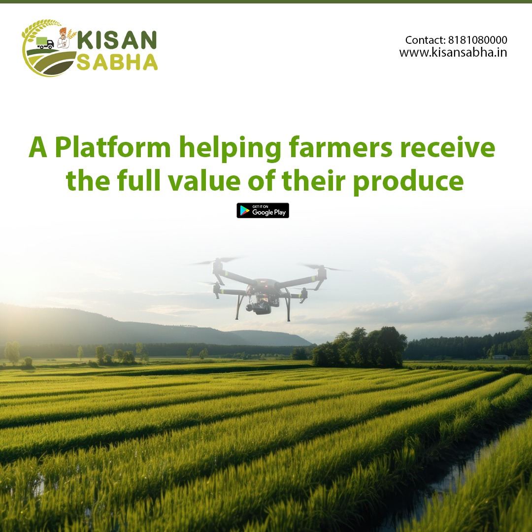 KisanSabha1's tweet image. Empowering farmers, reaping prosperity! 🌾 Join the revolution with Kisan Sabha, where every harvest meets its rightful value.

Visit us - kisansabha.in for more info !!!
Contact us - 8181080000

#FarmersFirst #KisanSabha #kisanlife #growwithus #agritech #farmers