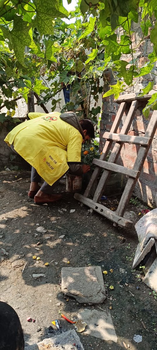 AshokD846's tweet photo. #MalariaFreeindia
#dengue
@indoreCollector
@HimanshuJayswar
@Daulat780Patel
@sksomya
@rajesh_amh
@Avdheshsingh
@santoshbhargav2
   चितावद कंकड़ में चोपाल के दौरान  पानी के कंटेनर और गमलों में  लार्वा चैक करते हुए मॉडल के माध्यम से  डेंगू मलेरिया का रोकथाम की जानकारी देते हुए https://t.co/a0BEpOlGi3