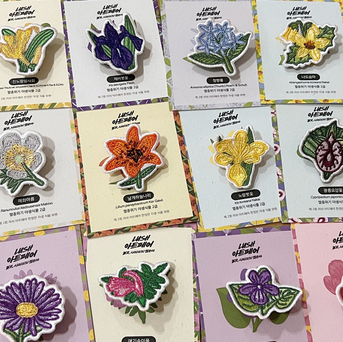 조경 공부하고 수목원에서 일하던 친구가 어떤 한계에 부딪혀 식물계에서 탈주하고 화장품 회사에 들어갔는데… 회사에서 친구가 그리고 만드는 것이 식물일 때…