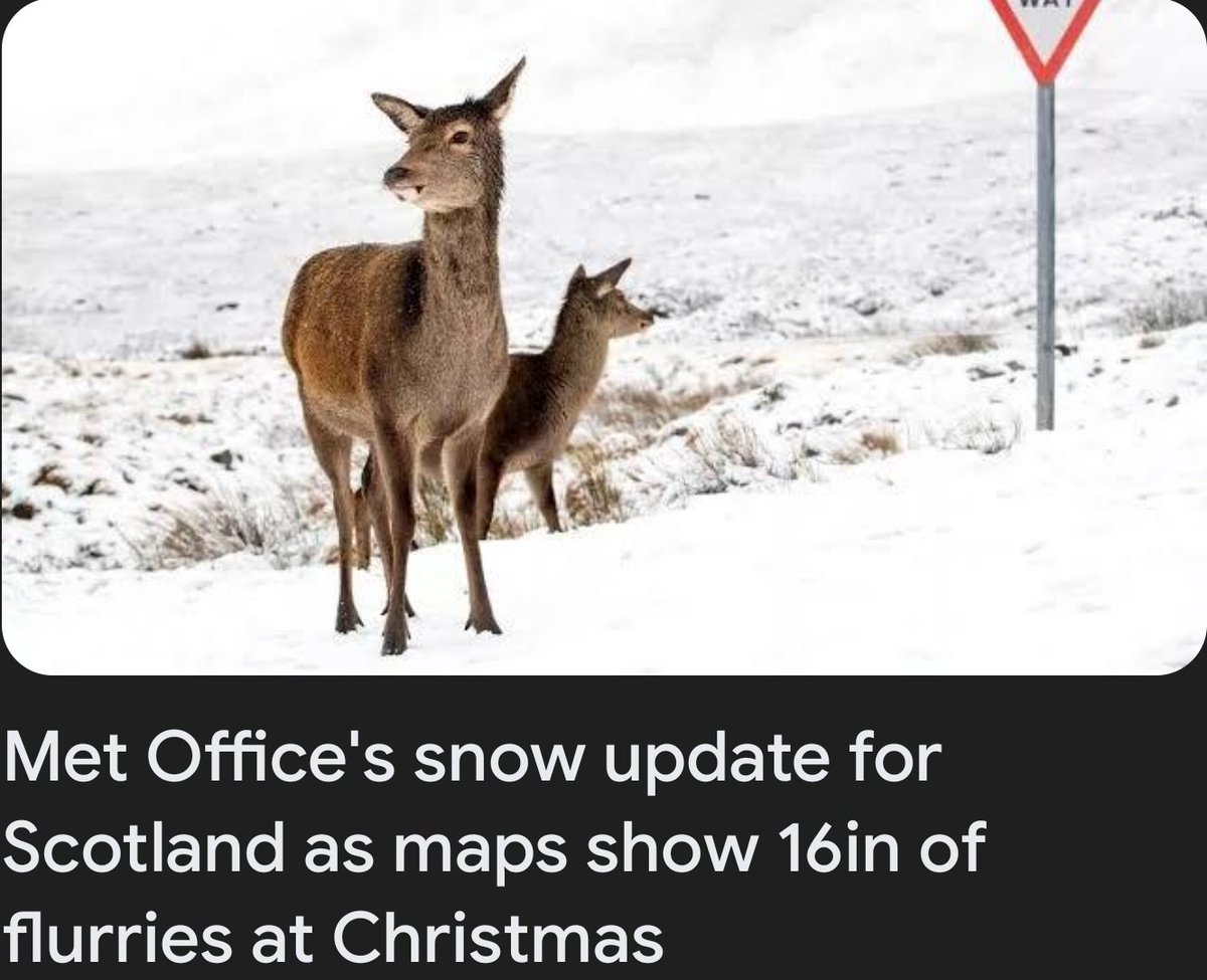 I can't be the only one who read that and immediately thought "that's 2 dicks worth of snow"
Right? 😬🤣