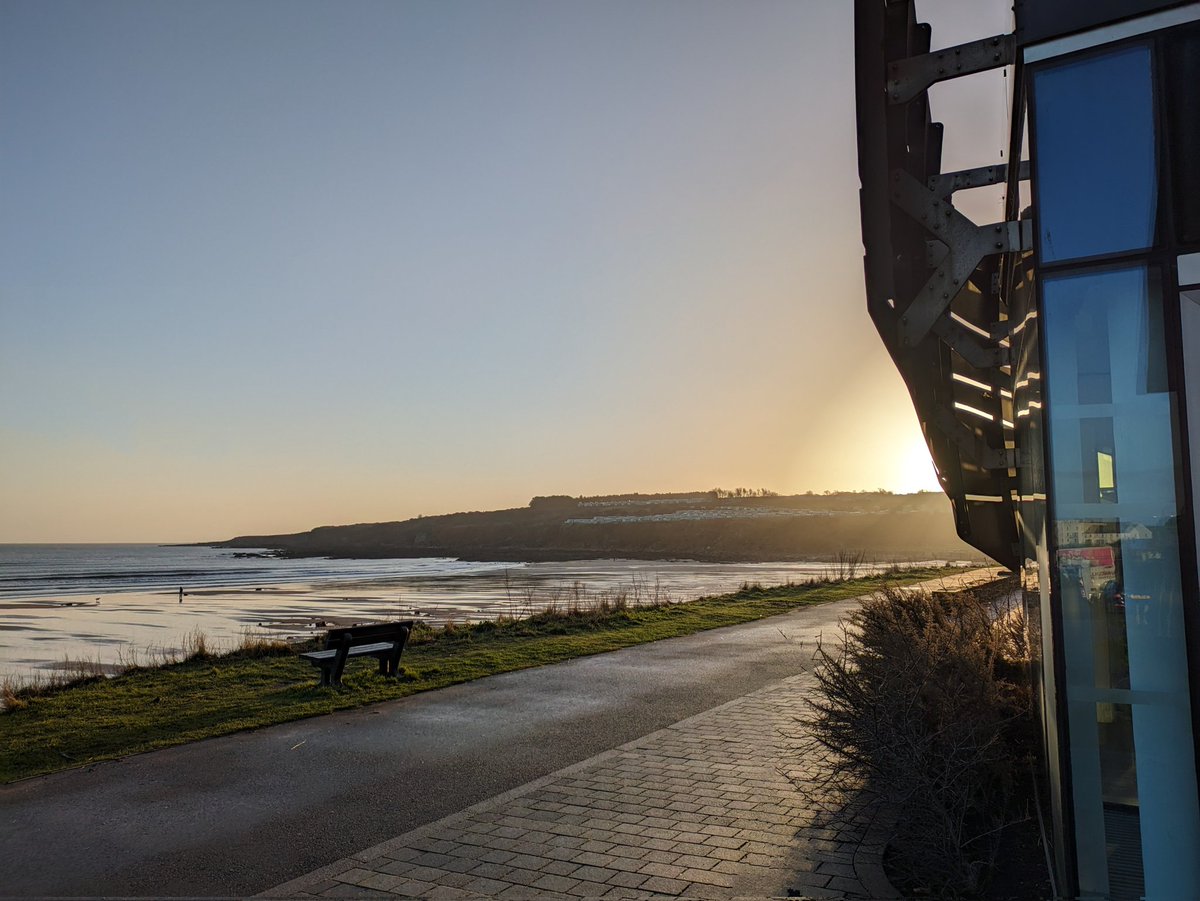 Alex Houston tweet media