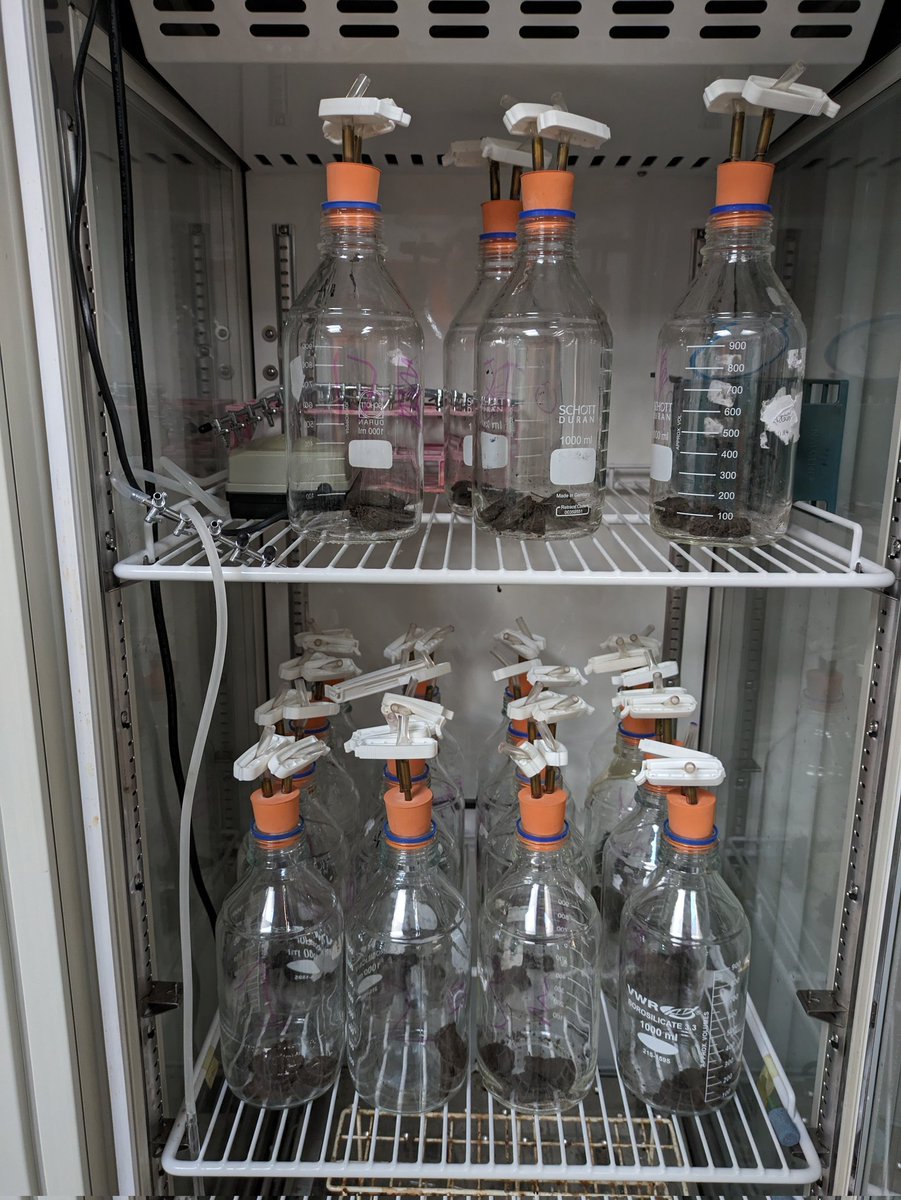 Alex Houston tweet media