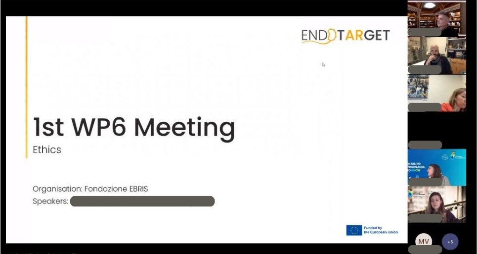 ENDOTARGET_EU's tweet image. 📢Yesterday, our WP6 members came together to discuss important issues about #ethicalallowances and requirements in our #scientificprogress! We are proud to have our committed partners working hard together! Thank you all and keep the momentum going! #teamworkmakesthedreamwork