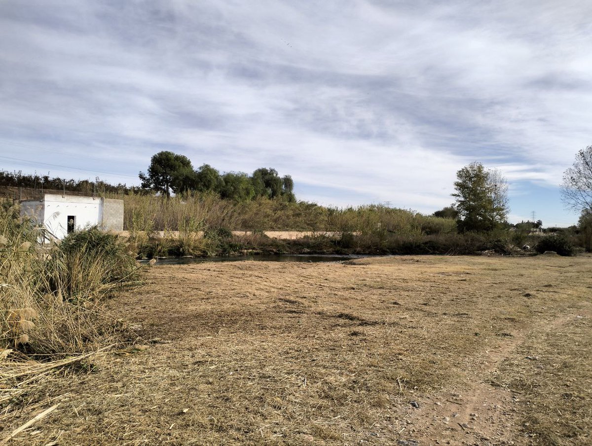 ✅La regidoria de Medi Ambient ha executat diferents tasques de neteja i adequació de camins del riu Turia al seu pas per #Manises

💧Amb actuacions de desbrossa i retirada d'enderrocs s'han millorat els accesos al riu 

ℹ️Més informació: t.ly/FSxjI