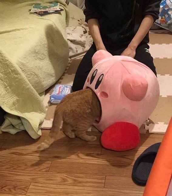 NOOOO KIRBY DON’T EAT HIM!!!!!!!