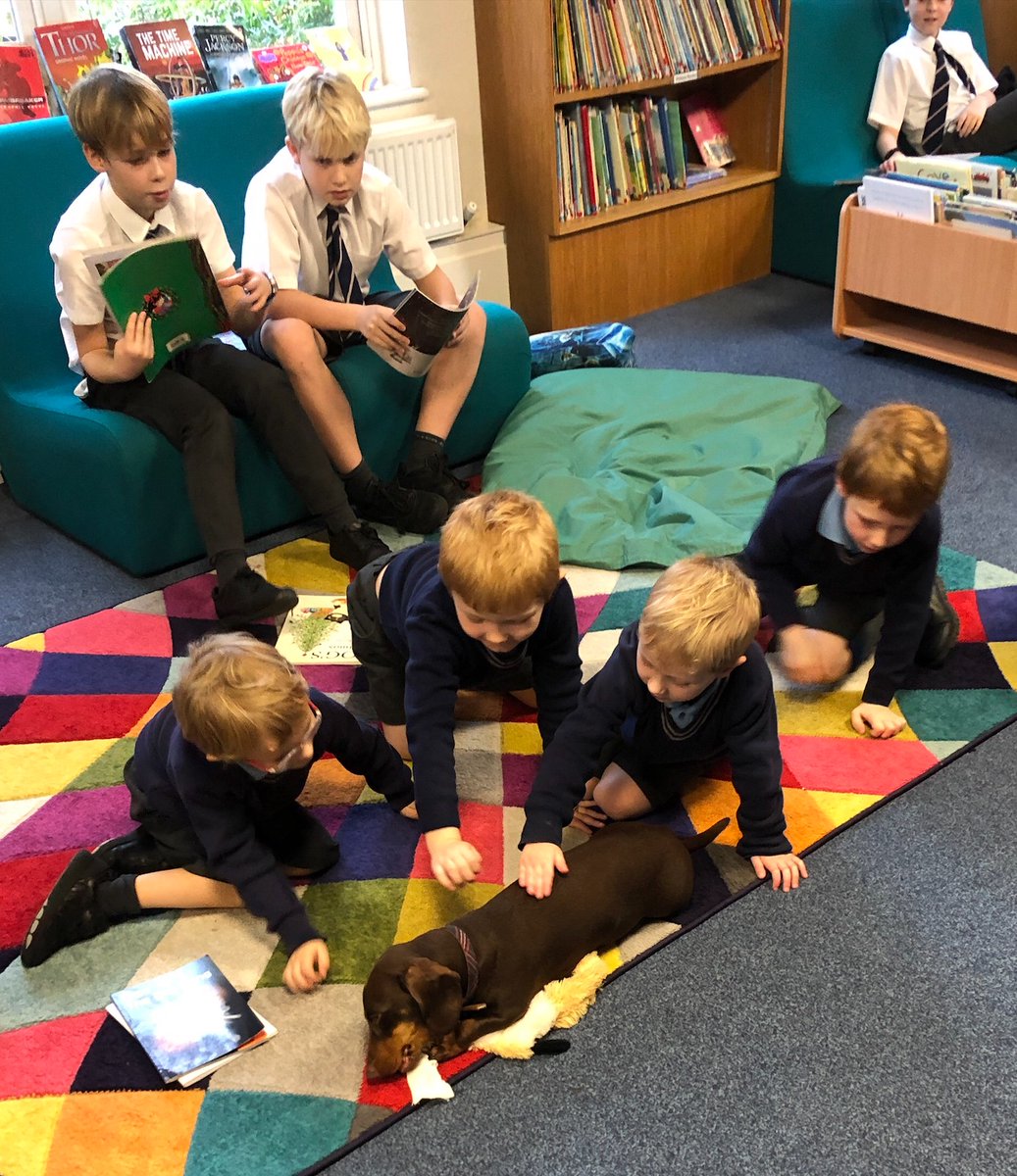 TownCloseSchool's tweet photo. 5B invited our Reception Chestnut Class for a festive shared reading session this week. Everyone read &amp; listened beautifully, even Bailey, who thoroughly enjoyed both the stories &amp; the attention!
#TownCloseLibrary #SharedReading #TownCloseCommunity https://t.co/mrX0A8nbto