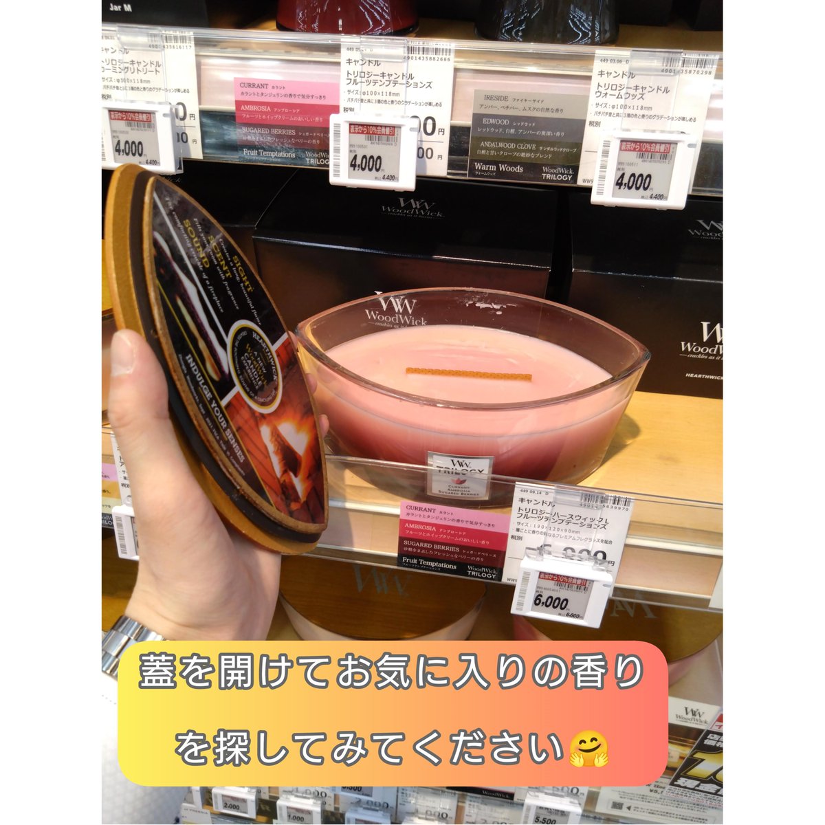 焚き火・暖炉のようなパチパチ音🎵炎のゆらめきが心地良い🔥✨ ＼ 人気