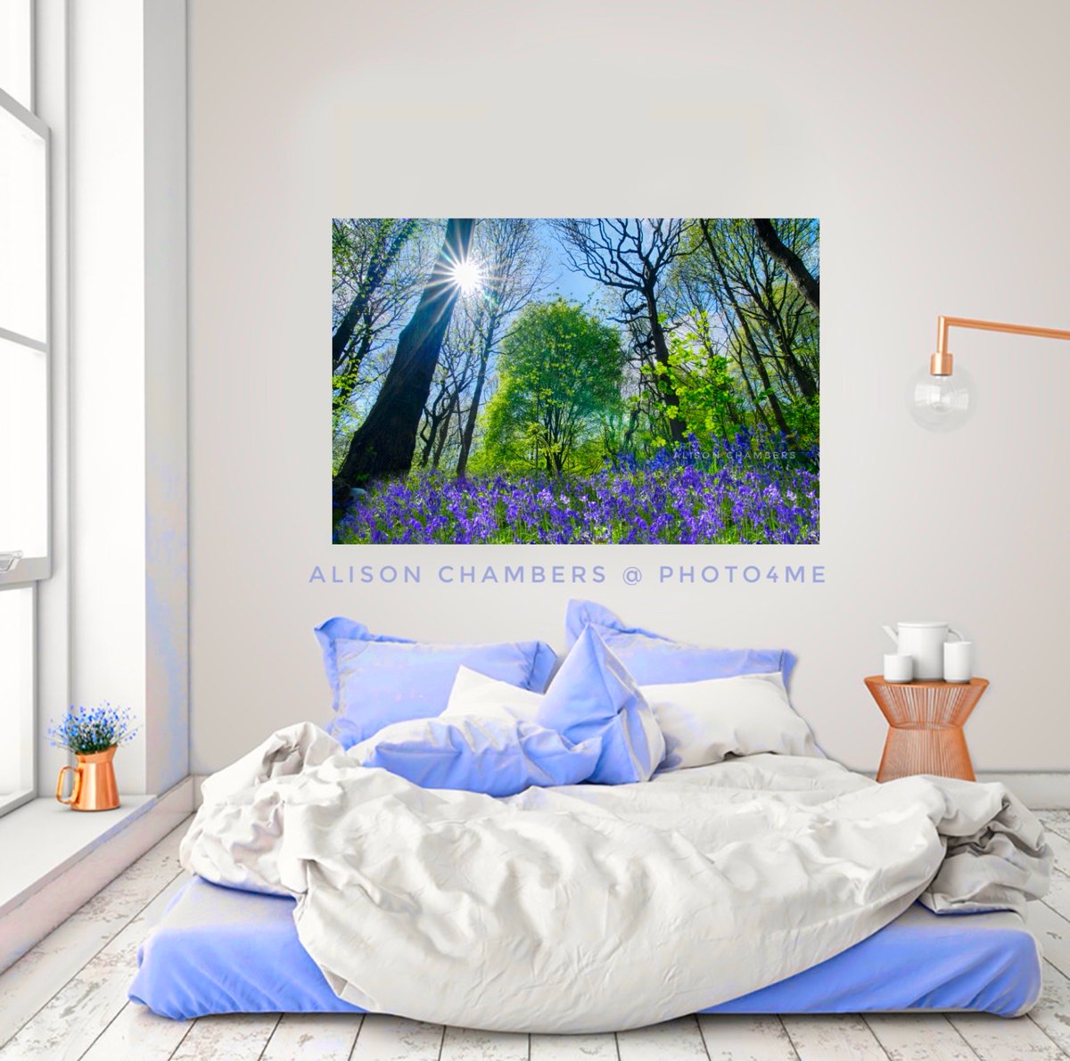 English Bluebell Wood©️. Available from; shop.photo4me.com/1288600 & alisonchambers2.redbubble.com & 2-alison-chambers.pixels.com #bluebellsood #bluebells #englishbluebells #springtime #englisgbluebellwood #wallartforsale