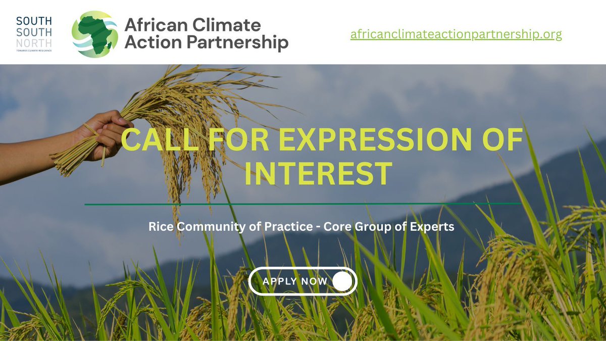 Join AfCAP's Rice Community of Practice Core Group of Experts to shape the future of rice production. Share your expertise and be part of a dynamic community. #RiceExperts #CommunityOfPractice #AfricaPaddyRice

buff.ly/3uYElk2