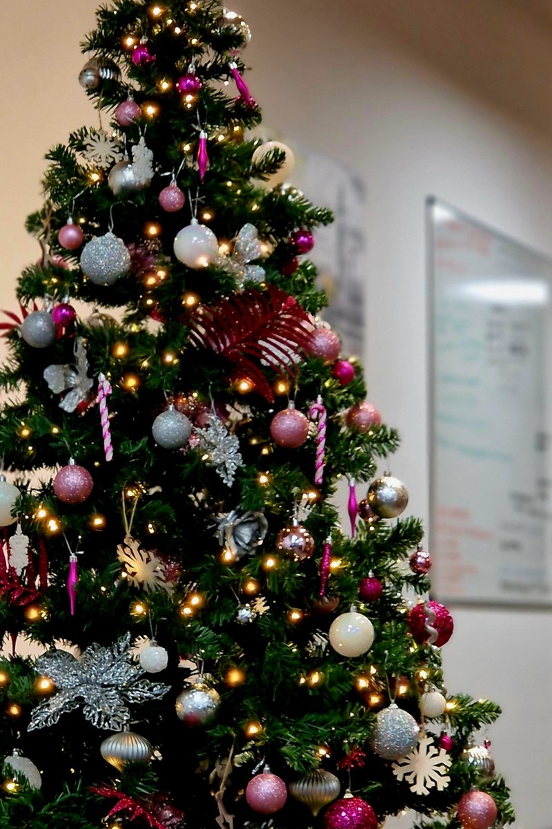 It's beginning to look a lot like Christmas in the PVS office!

Check out our tree, all dressed up in the PVS colours 🎄
