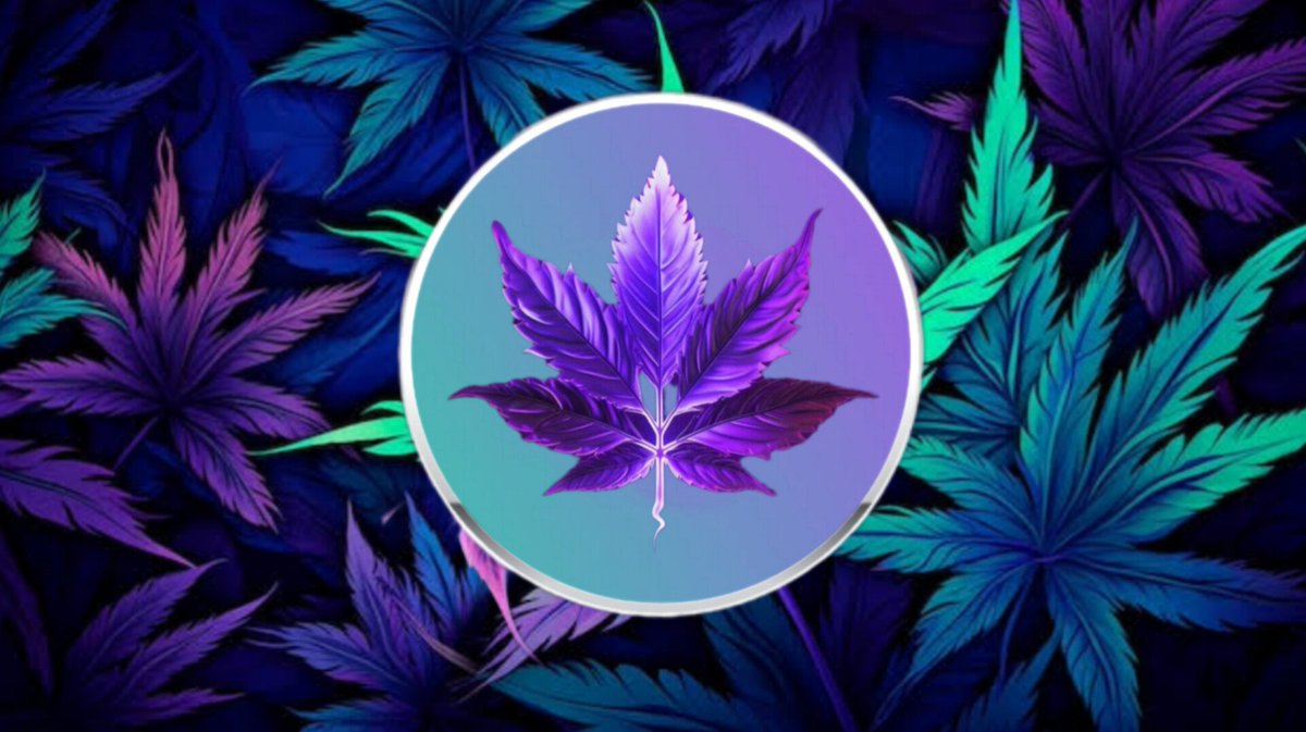 WeedonSol's tweet photo. $WEED community forming. Make sure to join the TG if you havnt already. #WEED #BONK #Solana #Elonmusk #420community #stoned #CannabisCommunity https://t.co/Ps0F17GMty