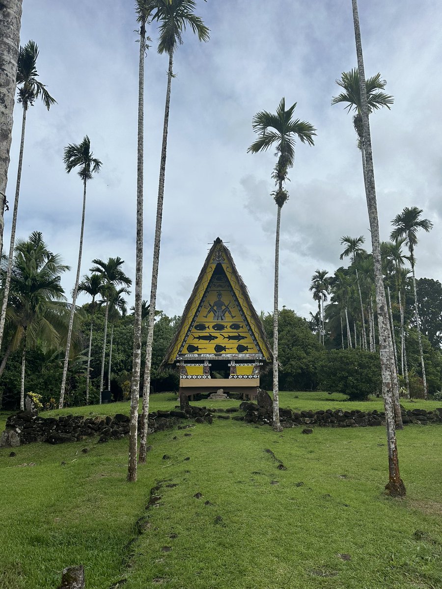 itsbrttnyhth's tweet photo. Land days done right with @FishnfinsPalau. A guided tour around the island of koror seeing bai huts, getting pampered with natural nail polish, stone monoliths and ocean views. https://t.co/c3kNxeWM0x