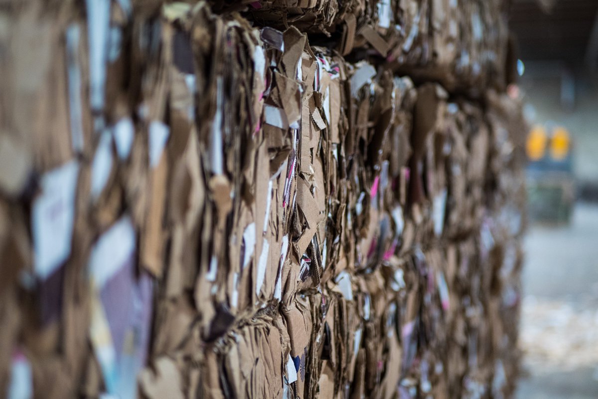 dssmithgroup's tweet photo. Have you ever wondered what happens to your cardboard?

Our blog lifts the curtain on the cardboard recycling process, breaking it down into 7 easy steps.

Learn more: https://t.co/YoWqJEHB3V https://t.co/DUTGGwhKRy
