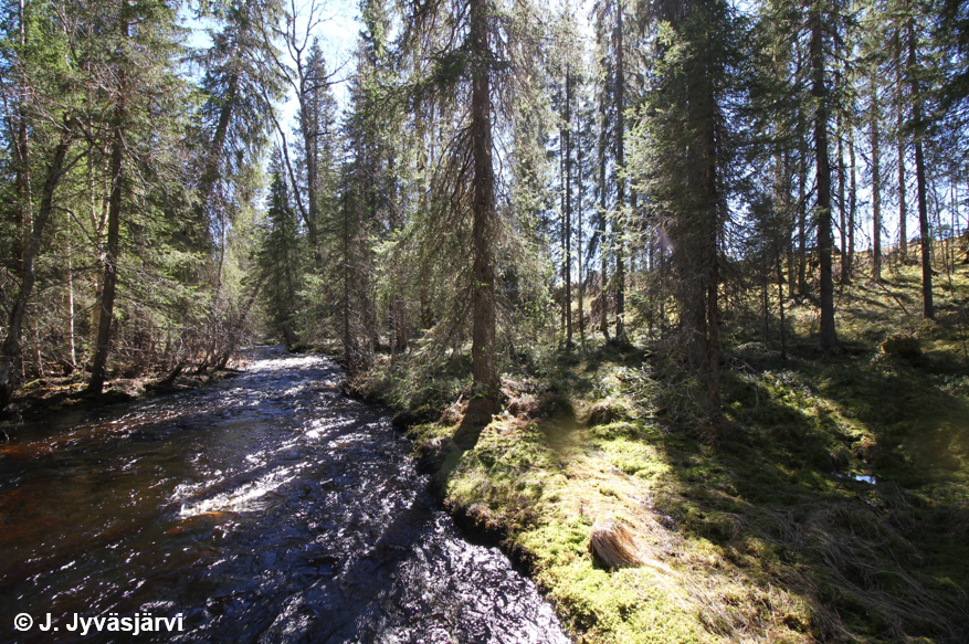 Enhancing riparian protection: A call for clear objectives and measurable targets 📑

In our latest blog post, authors suggest that targets must move away from vague objectives towards quantifiable goals that specify what is supposed to be achieved 🌊

👇
appliedecologistsblog.com/2023/12/14/enh…