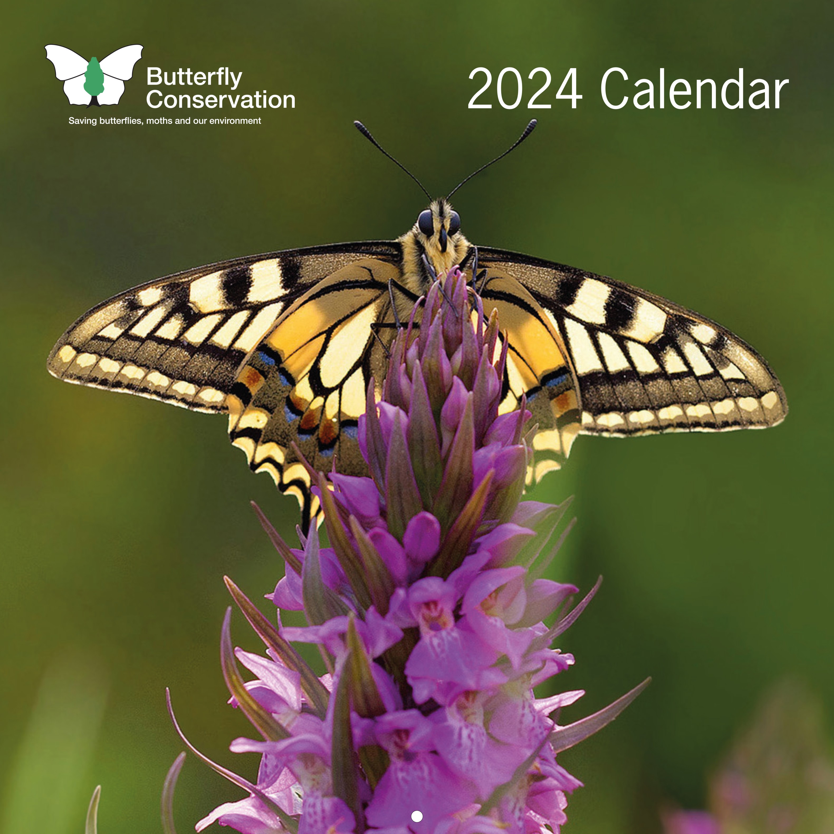 Butterfly Conservation Calendar 2024 libby