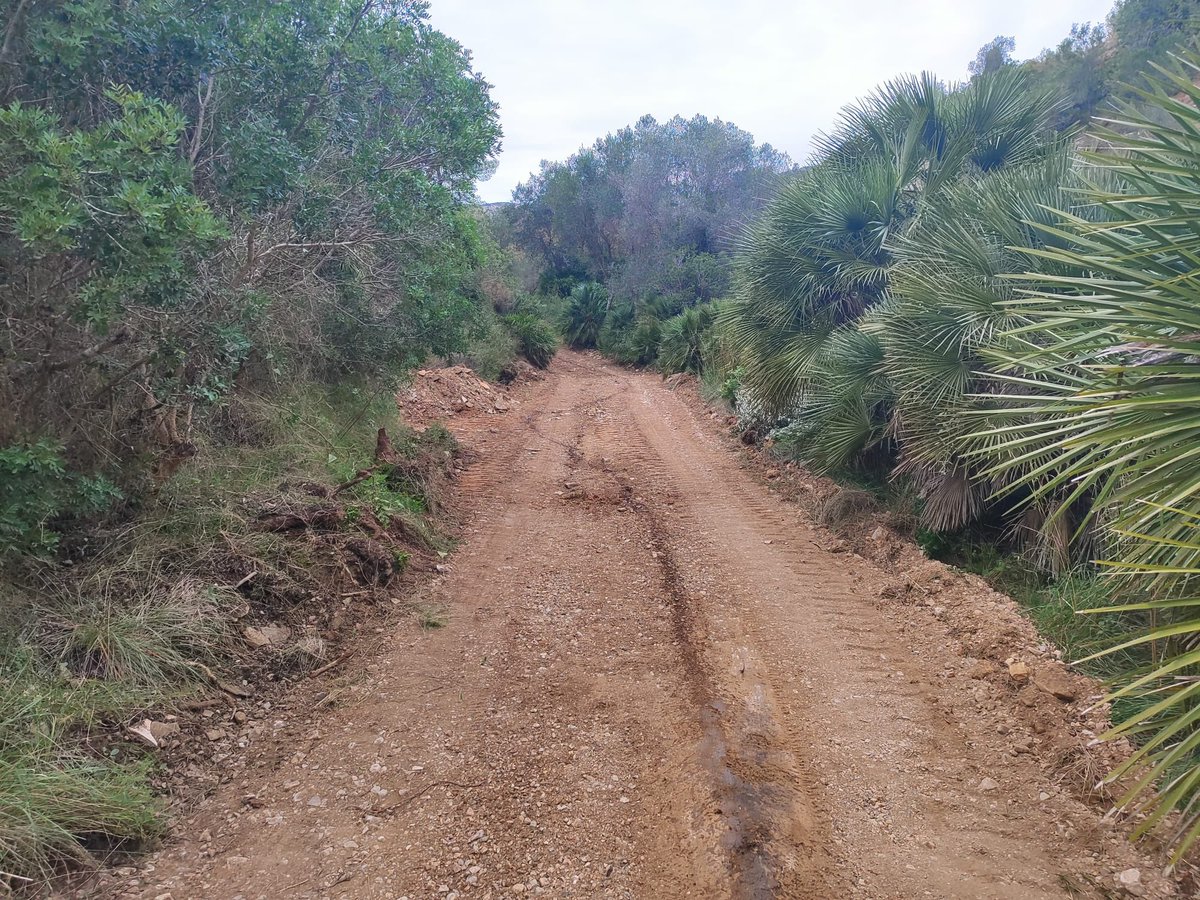 🚜 Durant els últims dies, maquinària de la @dipcas, a petició de l'àrea de Medi Ambient de l'Ajuntament, ha dut a terme treballs d'arranjament de camins rurals en la Serra d’Irta i la zona del Poatx. En suma s'han condicionat al voltant de cinc quilòmetres d'aquests camins.