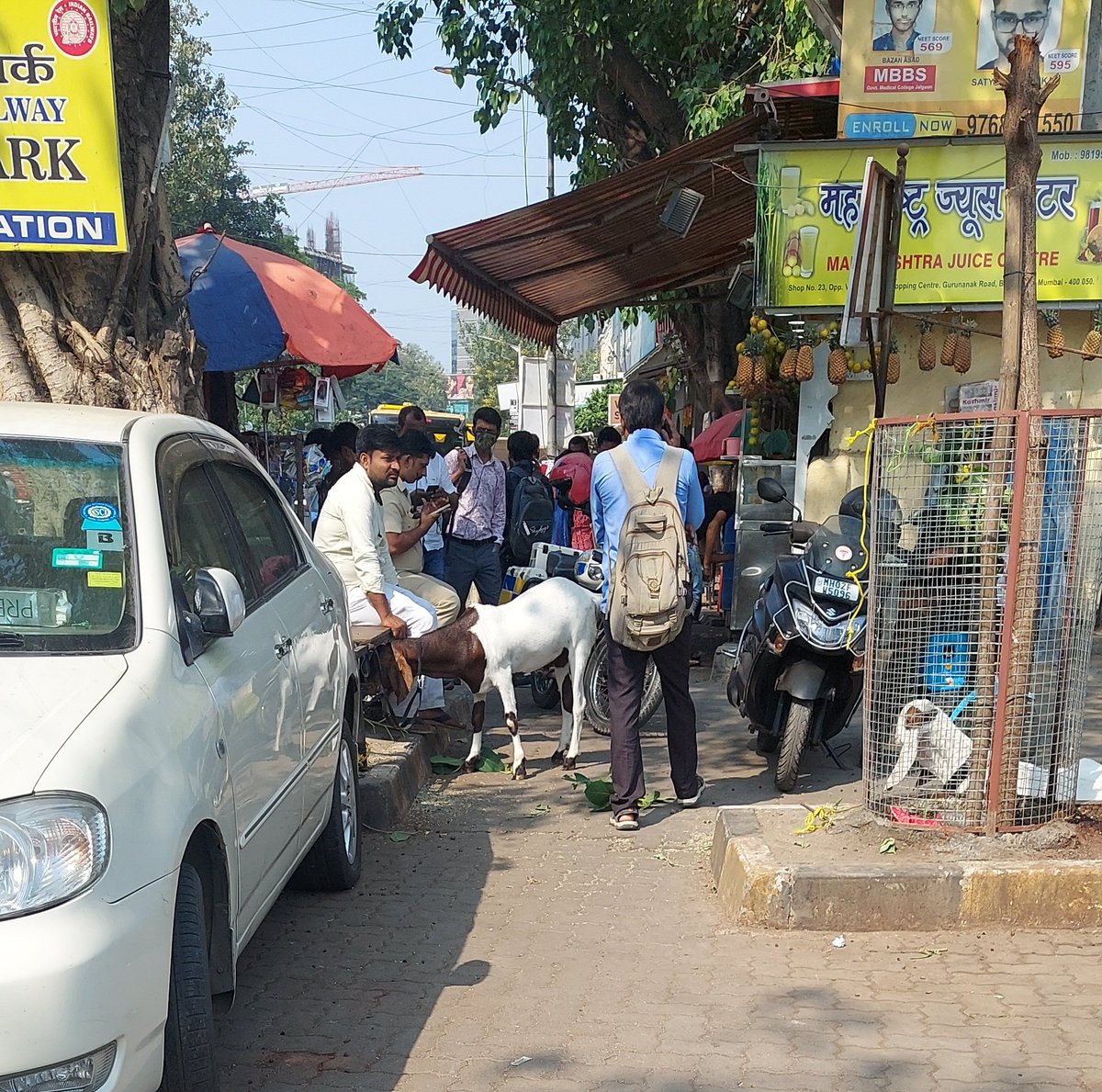 bandRA_50's tweet photo. @mybmc @mybmcSWM @mybmcWardHW @ShelarAshish @CommunityBandra @bandrabuzz @MNCDFbombay It's concerning to see goats tied &amp; fed outside Bandra station, affecting cleanliness and hygiene. Public areas should be respected and maintained for everyone's well-being.  #Bandramatters https://t.co/6TCGzIFUF6