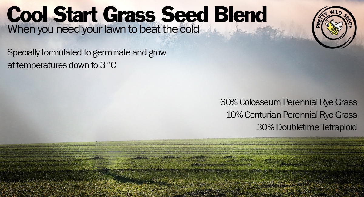 If you need your lawn to beat the cold, try our Cool Start Grass Seed Mix prettywildseeds.co.uk/product/cool-s…

#wintergrass #grassrootsfootball #coolstartgrass #sowinwinter #grassseed #growingfromseed