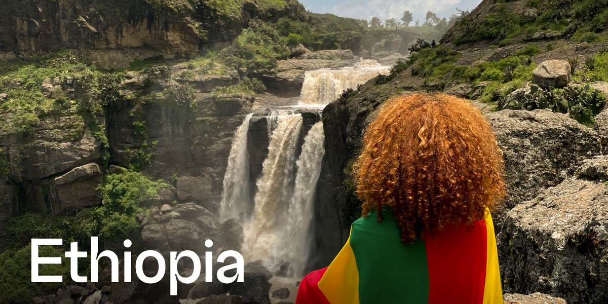 BitCluster tweet media