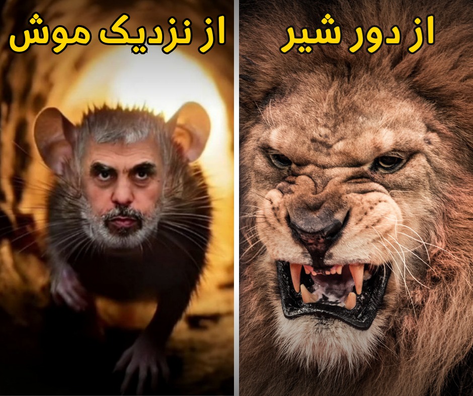 IsraelPersian's tweet image. یحیی سنوار مانند موش در تونل خود مخفی شده، اما به او یادآوری می‌کنیم که هیچ تروریستی در امان نیست و دیر یا زود تاوان جنایات هولناک خود را خواهد پرداخت.