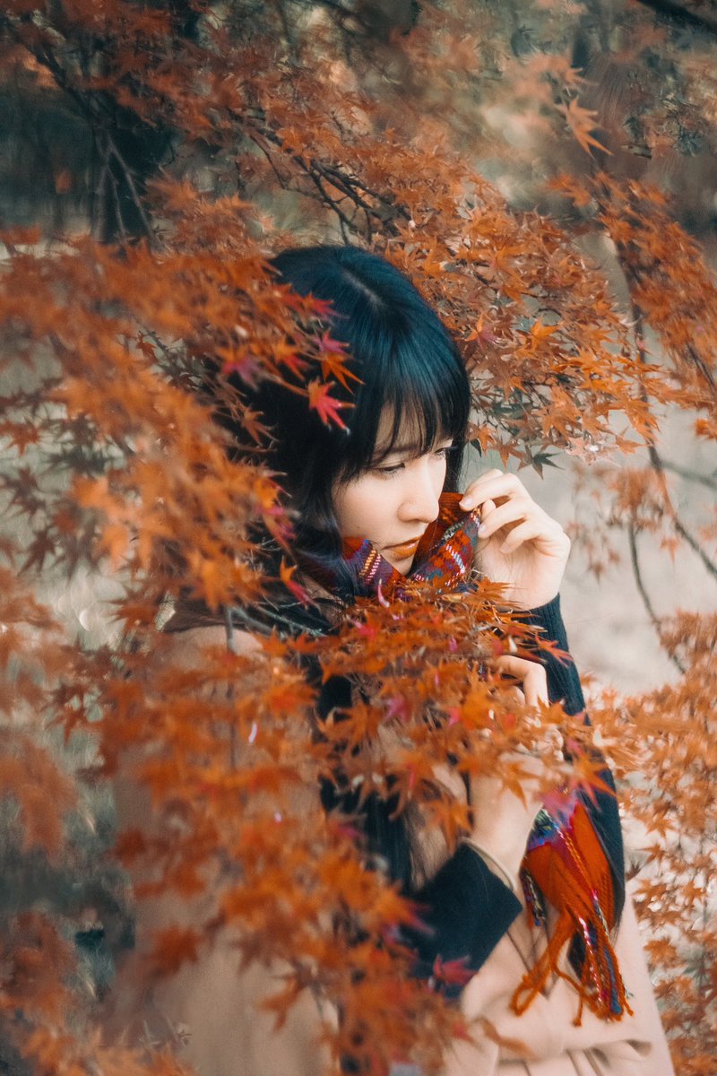 nanachi12's tweet photo. 色合い迷う(´-ω-)...
#oneflash撮影会 #oneflashmodel
#ポートレート #portrait #大阪
#徳島 #岡山 #関西 https://t.co/iLjb0DaDoa