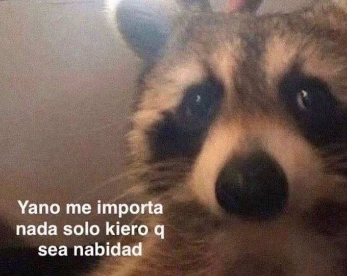 skereunpesado's tweet photo. https://t.co/54mBHlPQCX