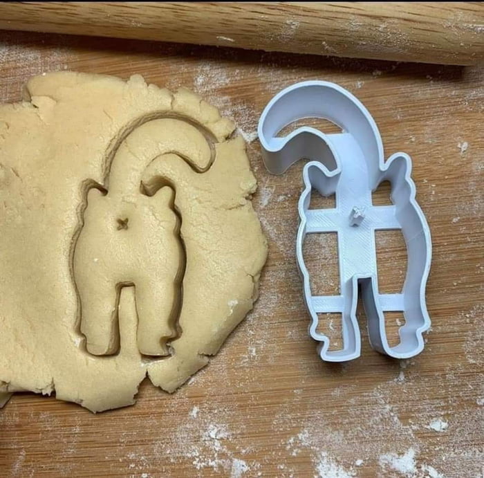 Goofy_ahAnimals's tweet photo. 🍪🍪

#cookies #animals #cats #funny #DailyDoseOfAnimals https://t.co/AsTDeZ5UWX