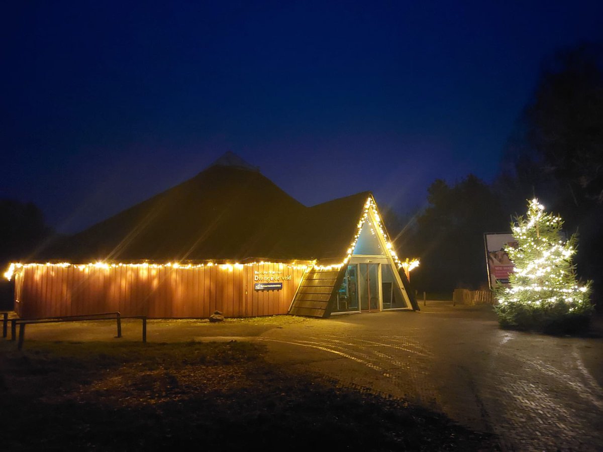 Het bezoekerscentrum is de kerstsfeer weer zichtbaar met lichtjes en 2 prachtig versierde kerstbomen. 🌲 #kerstinhetdwingelderveld