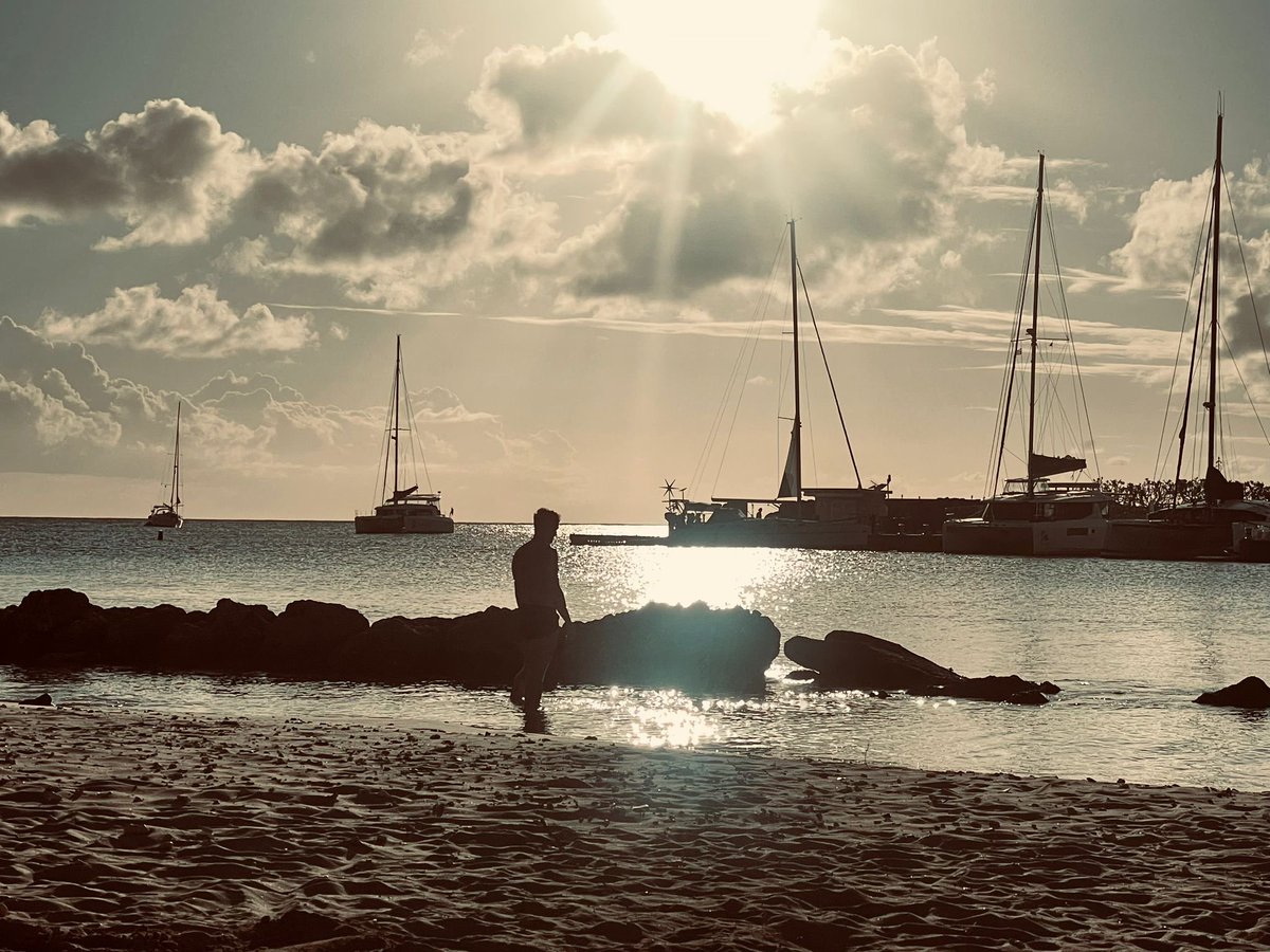 JimHarro's tweet photo. Bajan Christmas 🇧🇧 https://t.co/PulQQFbGq9