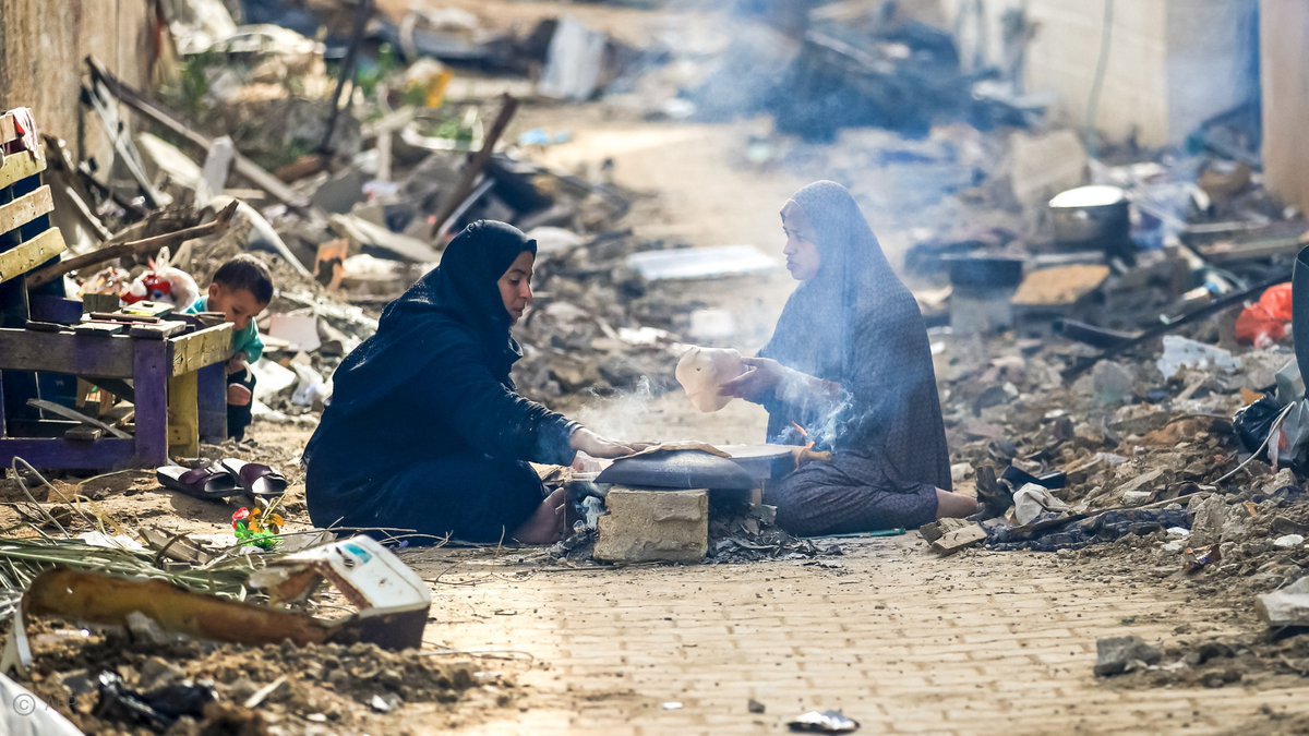 ‘Palestinian girls are seeing their future – already fragile after 56 years of #Israeli occupation – destroyed in front of their eyes’ say UN experts, calling for a #CeasefireNOW and investigations into allegations of sexual violence on October 7 #Gaza ow.ly/lG9950QiFsb