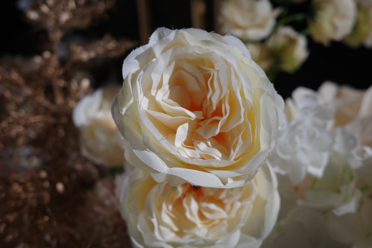 即使这件事离我还很远，但我依然为你高兴