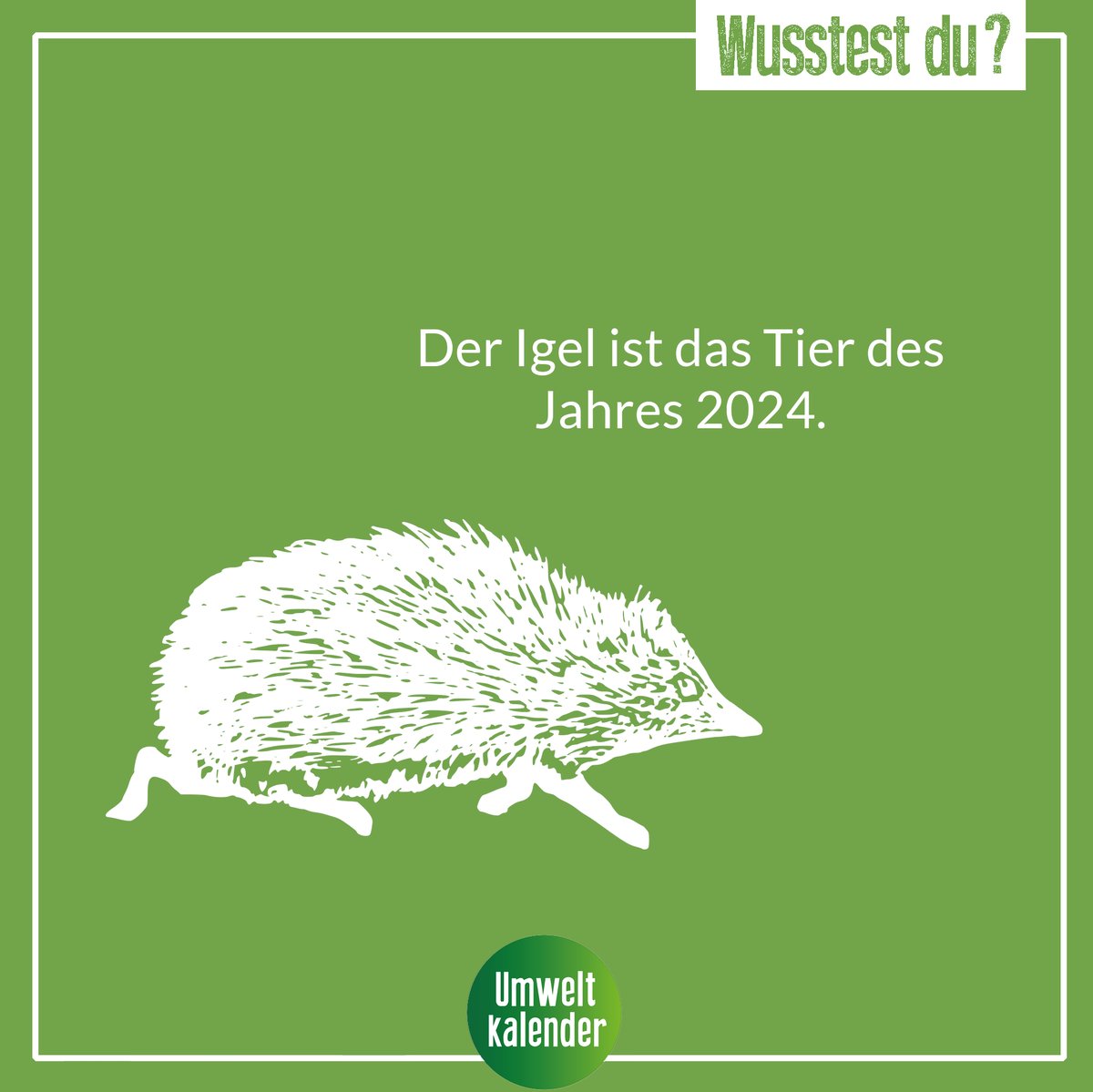 Der #Igel ist das #TierdesJahres 2024! Er steht auf der Vorwarnliste der Roten Liste der Säugetiere Deutschlands. Weitere Informationen findet ihr hier:
deutschewildtierstiftung.de/.../tier-des-j… #SNB #Wildtiere #wusstestdu