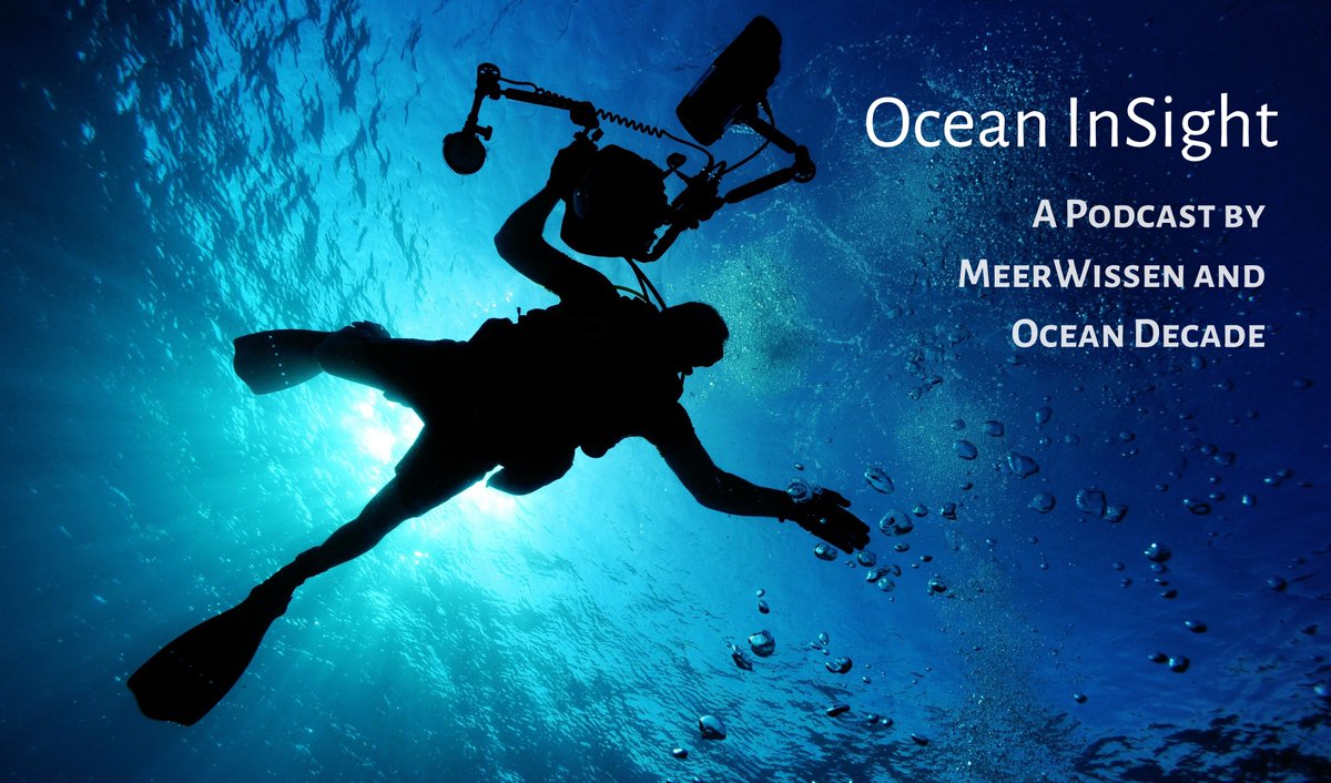 giz_gmbh's tweet photo. 🎧🎙️What does effective ocean protection mean in times of climate change? Dive into the latest #OceanInSight podcast episode to find out 🌊 : https://t.co/u3jJeB8byU https://t.co/M6mwW3I6TX