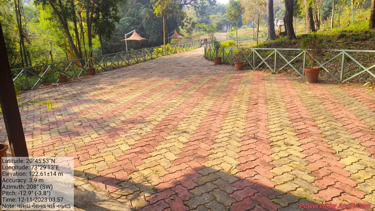 DCF South Dang tweet media