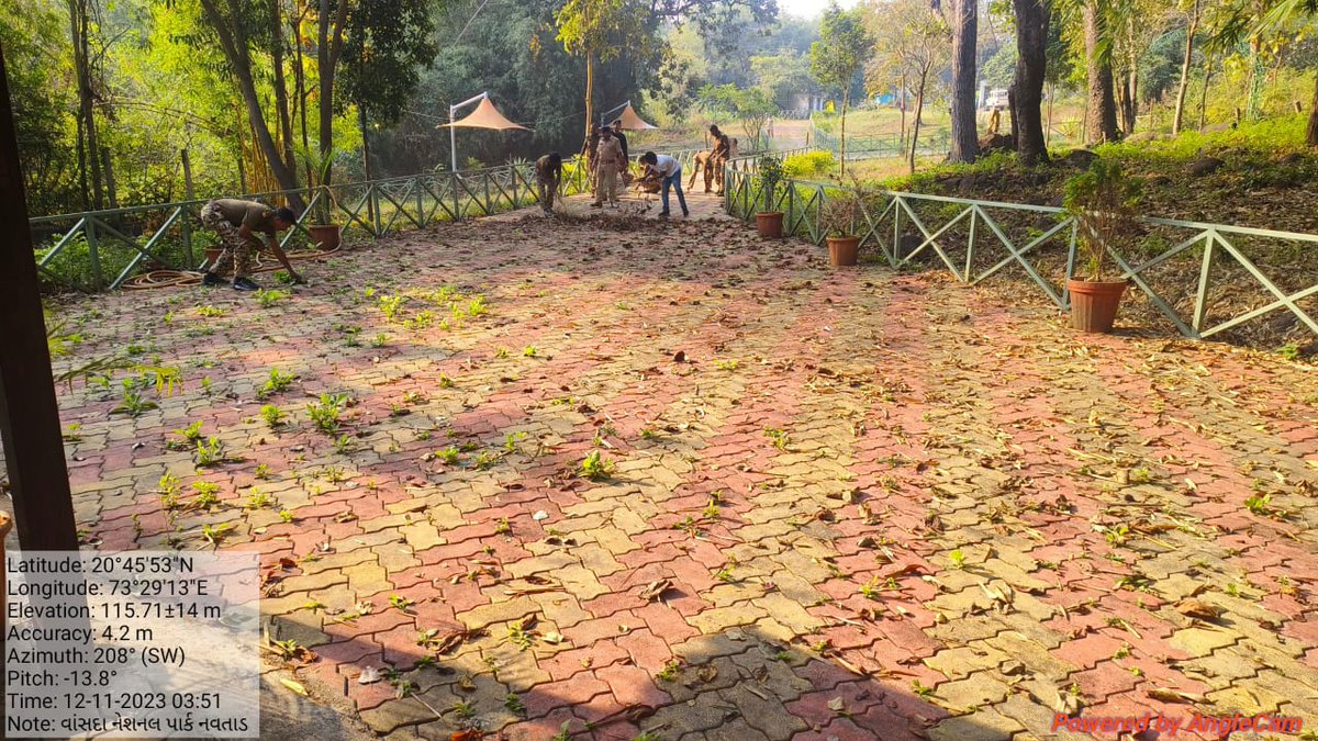 DCF South Dang tweet media