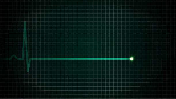 Ожидал сегодня увидеть другую прямую линию