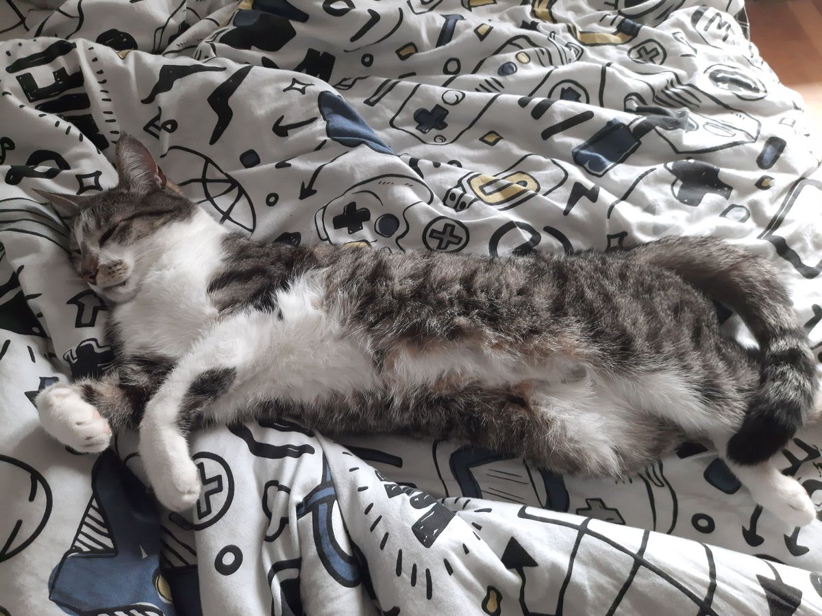 Godspeed You! Guillotine's Melody tweet media