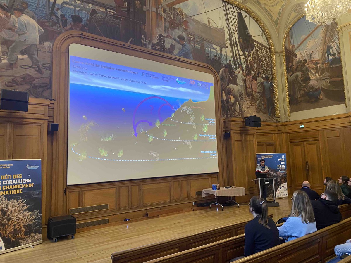 UMREntropie's tweet photo. Colloque #LabExCorail Présentation par #DavidOry
"Connectivité des hydraires mésophotiques des départements français de l'océan Indien occidental"
@UMREntropie @criobe_pf @ird_fr @Univ_Reunion
Encadrement : #P_Chabanet #C_Bourmaud #E_Boissin https://t.co/4XpwRxhuKV