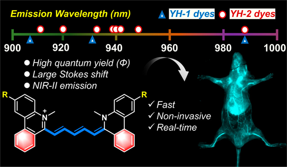 ACSMatLett's tweet image. Tunable Wavelength, High-Brightness, and NIR-II Emission Phenanthridinium-Based Heptamethine #Dyes for High-Contrast Vascular and Intestinal #Imaging In Vivo

By Baiwang Sun et al. at Southeast University

Read the paper 👉 go.acs.org/7jP