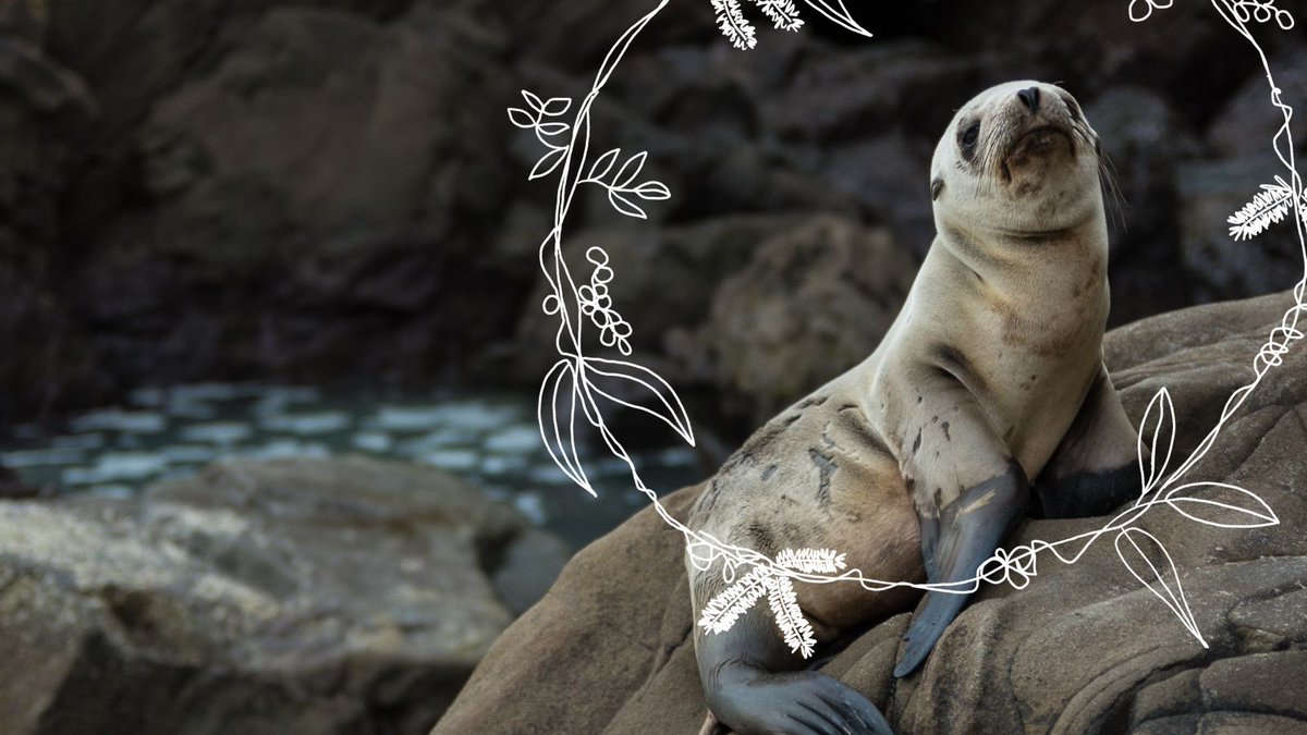 Today, for our sixteenth Advent devotional, musician Alanna Glover reflects on Mary’s song and the hope we share in Jesus' birth.
👇
commongrace.org.au/advent_common_…