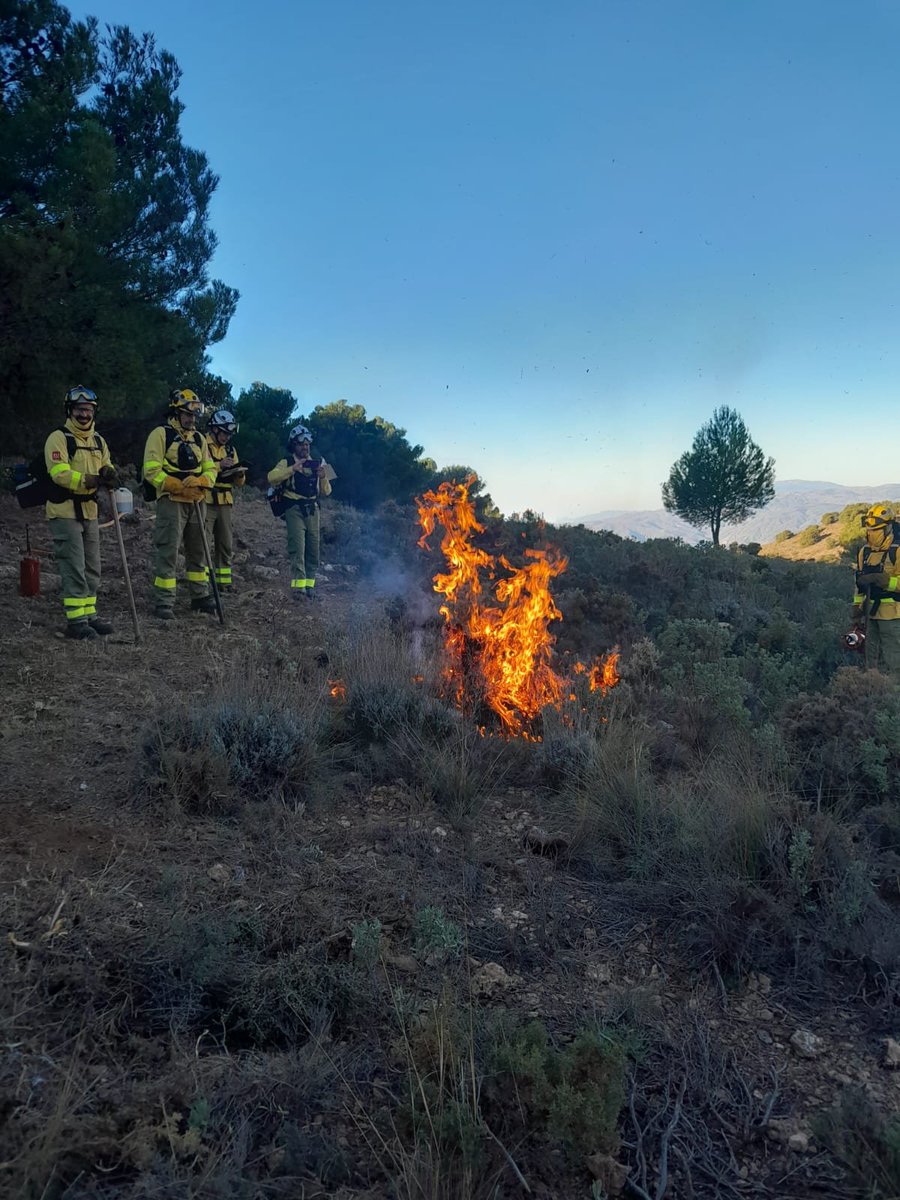 Plan_INFOCA's tweet photo. 🗓️ Tercera jornada de quemas prescritas en el término de Dalías (Sierra de Gádor -Almería-), actividad enmarcada en @proyectocompas👏. 

✅ Colaboramos una vez más con la @EEZCSIC usando el fuego técnico como herramienta preventiva de incendios forestales. 

#RxFire
#FuegoBueno🔥 https://t.co/IK9F02DwOT