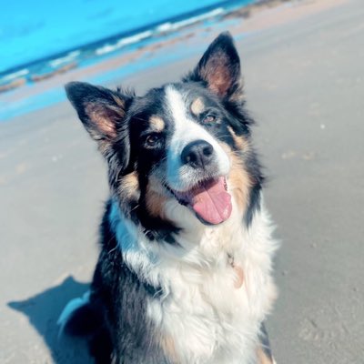mainsyc's tweet photo. #NewProfilePic https://t.co/iGd97ofqQ1