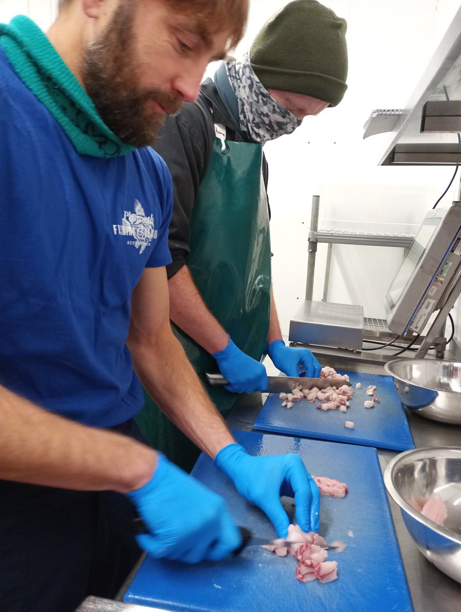Today we are testing our first #fishfinger recipe 💙 for our @foodsequal #Plymouth #FishFinger #Innovation experimenting with #dogfish (#rocksalmon) @UKRI_News #TUKFS #SPFfoodsystem #exciting @SoDiscretion @Plymouth_PFSA