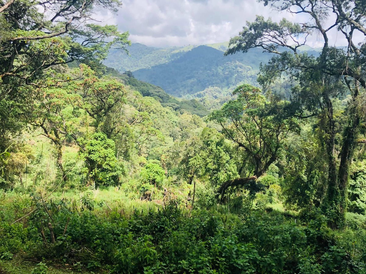 Buy land
Build a ranch
Live of the land. and earth. 

-Miss Bala