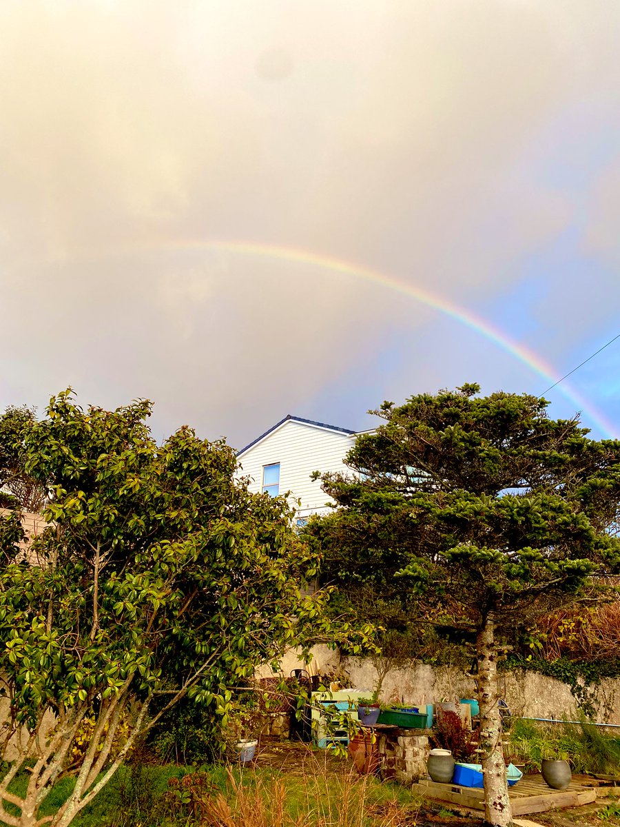 VeganMags's tweet photo. A fab rainbow yesterday. Not really captured in all its 🤩glory. This is my untidy garden and the house in shot is the posh holiday home next door.
#CornwallProblems 🌈 https://t.co/aOrESvluuv