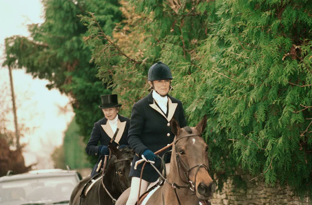 nocontxtcamilla's tweet image. I feel like they did Olivia Williams and Dominic West dirty on The Crown because they could have been given meatier material to work with but #ohwell life trumps fiction 💕